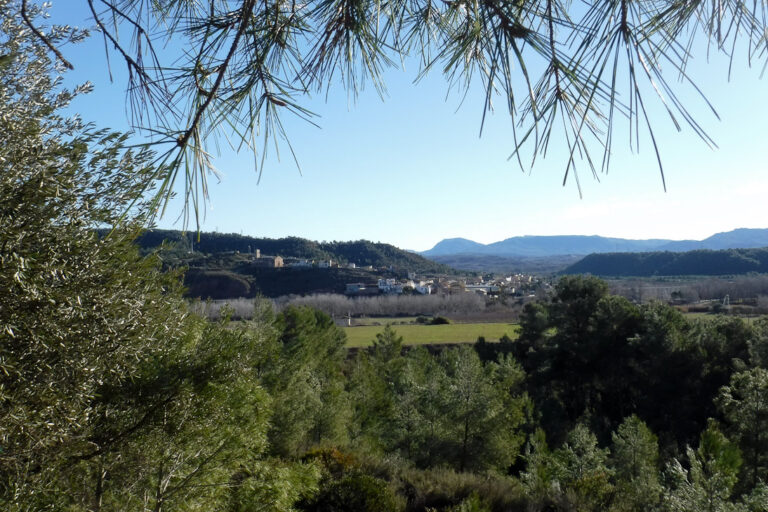 Circular Per la Fotx I la Vall del Teixidor. Móra d’Ebre (Ribera d’Ebre)