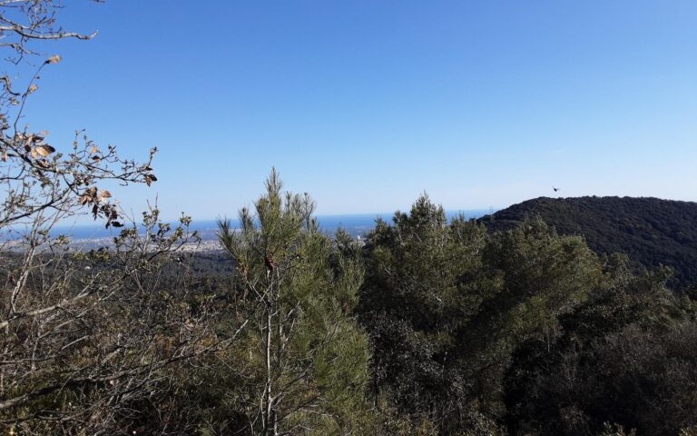 Cim Rocanys i Puig d’en Gulló des de l’Aleixar