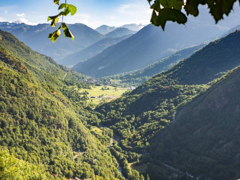 Emblemàtica al Pirineu