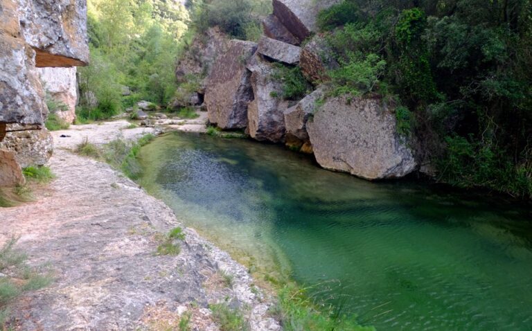 Circular estiuenca per Capafonts